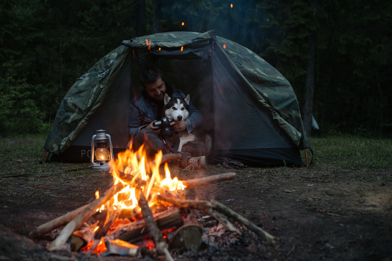 Tent Camping with Dogs