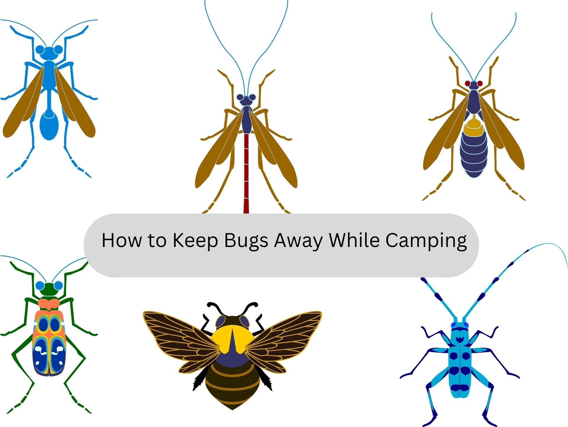 How to Keep Bugs Away While Camping
