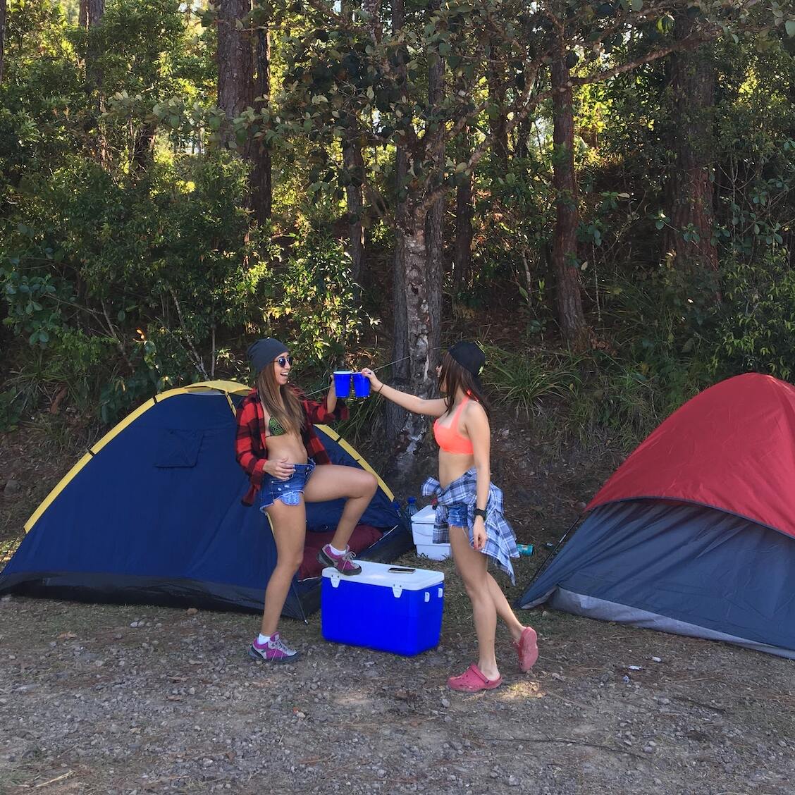 how-to-store-food-while-camping